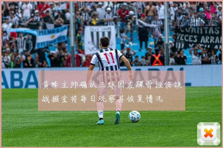 黄蜂主帅确认三球因左踝骨挫伤缺战掘金将每日观察其恢复情况